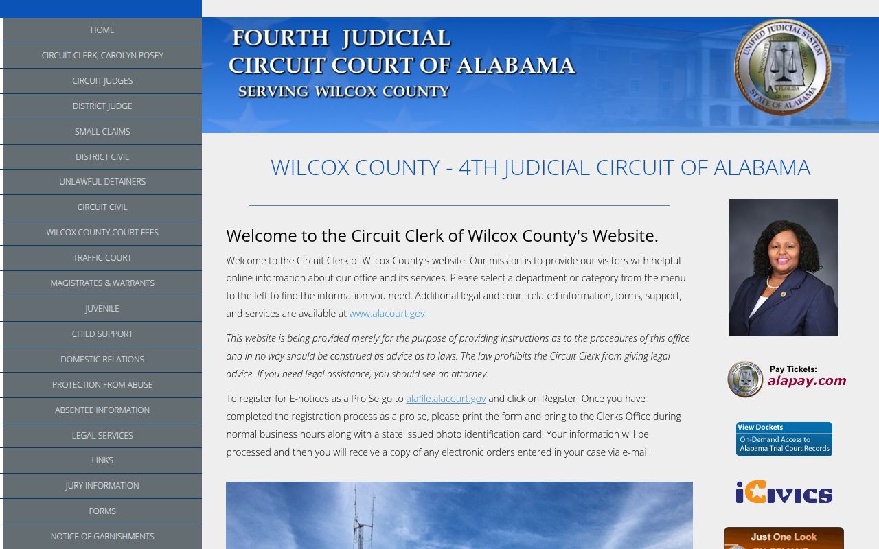 Wilcox County felony records search through Alacourt